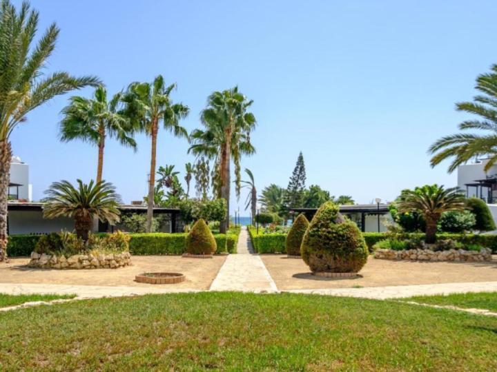Yialos Village By Cybarco Larnaca Exteriör bild